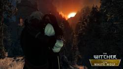 CD Projekt Red - Группа моддеров создают игру о последнем приключении Геральта на движке The Witcher 2 - screenshot 2