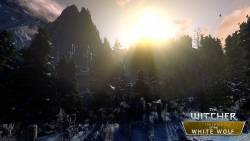 CD Projekt Red - Группа моддеров создают игру о последнем приключении Геральта на движке The Witcher 2 - screenshot 4