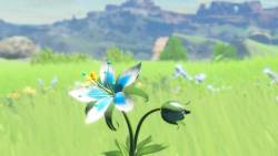 Nintendo - Гора новых скриншотов The Legend of Zelda: Breath of the Wild - screenshot 13