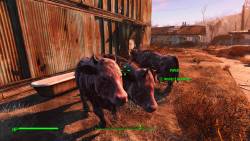 Fallout 4 - Взгляните на то, как выглядит Fallout 4 с официальными текстурами высокого разрешения - screenshot 1